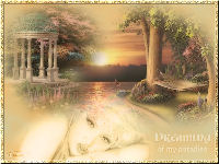 Dreaming of my paradise