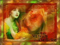 I'm your Venus