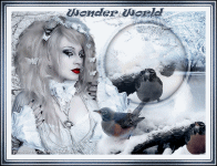 wonder World