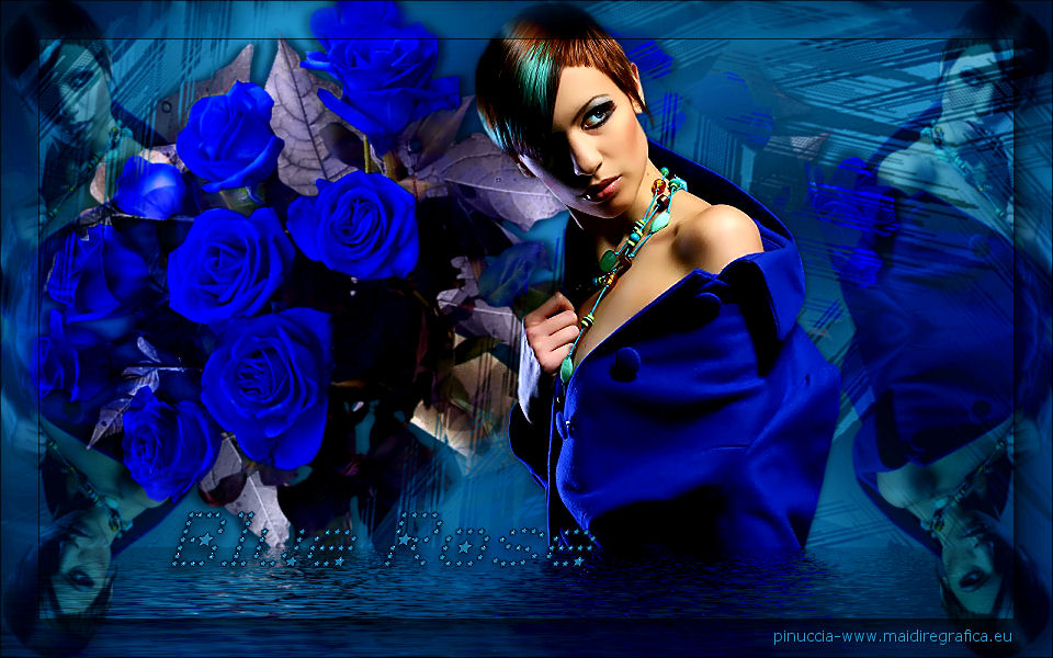 Top Blue Rose