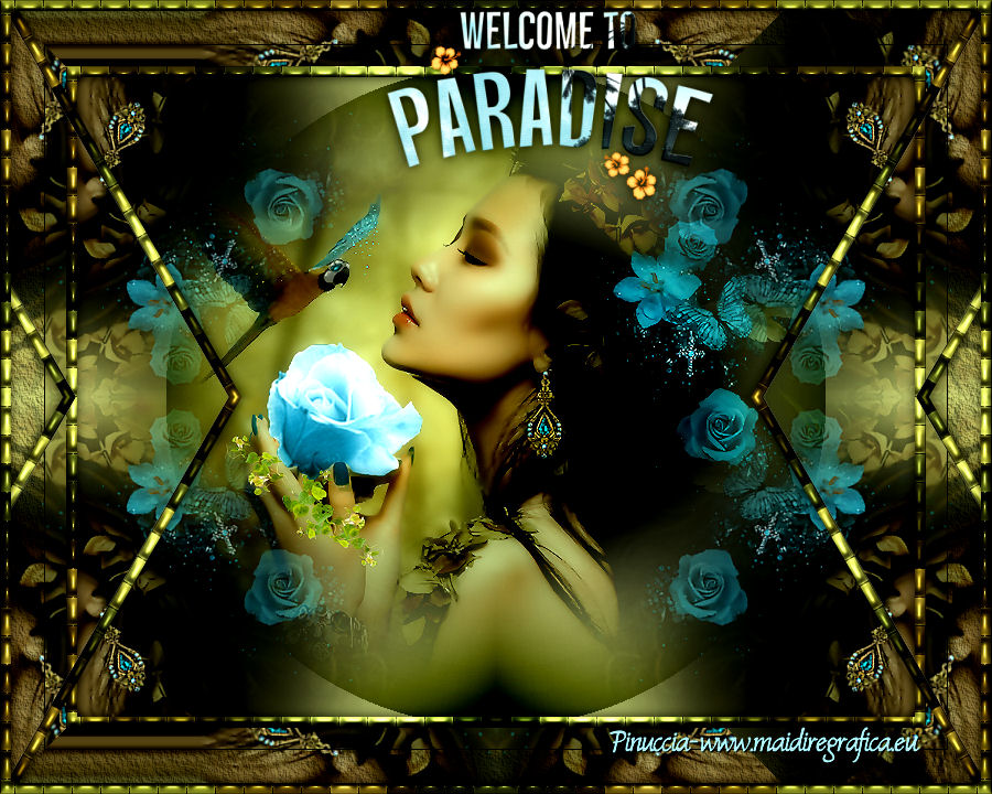 Welcome to Paradise