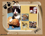 My Pets and Photo Tag