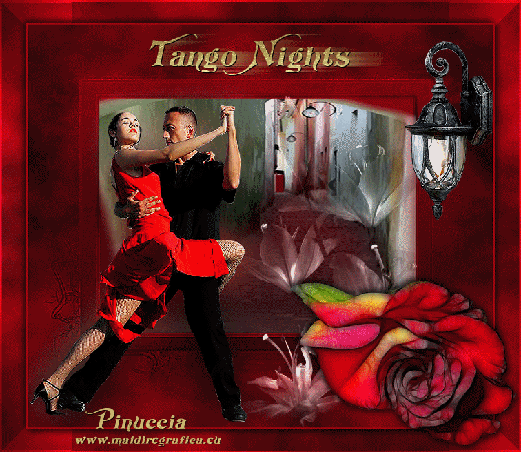 Tango Nights