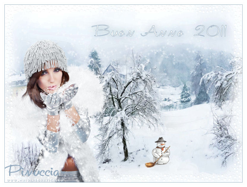 Bonne et heureuxe Année 2011