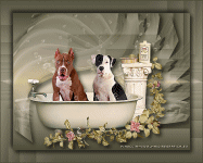 Doggies Bathtime