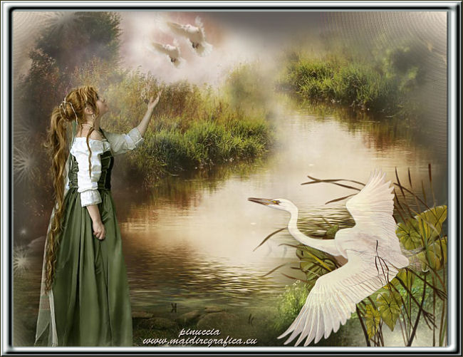 peaceandfreedom and Innocent